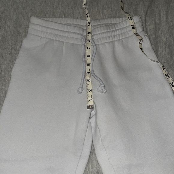 Aritzia Tna Cozy Fleece Perfect Sweatpants (mirror blue) - Picture 8 of 14